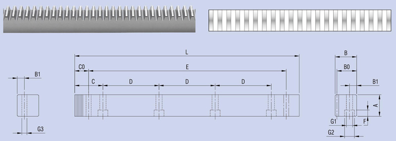 Spur (Rectus) Rostrum Dentatum